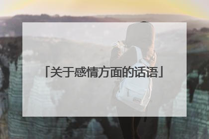 关于感情方面的话语