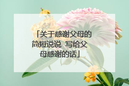 关于感谢父母的简短说说 写给父母感谢的话