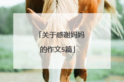 关于感谢妈妈的作文5篇