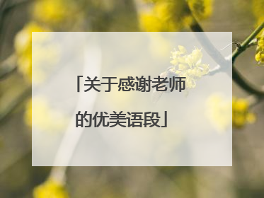 关于感谢老师的优美语段
