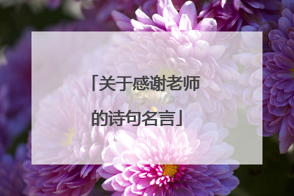 关于感谢老师的诗句名言