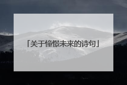 关于憧憬未来的诗句