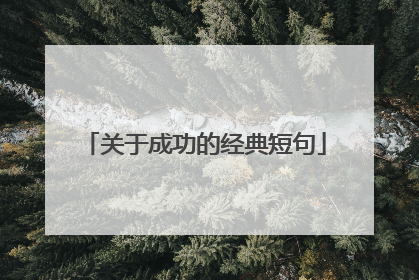 关于成功的经典短句