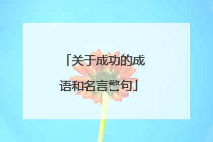 关于成功的成语和名言警句