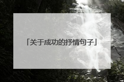 关于成功的抒情句子