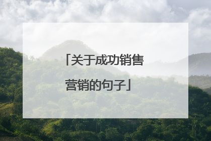 关于成功销售营销的句子