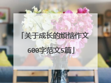 关于成长的烦恼作文600字范文5篇