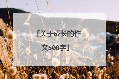 关于成长的作文500字