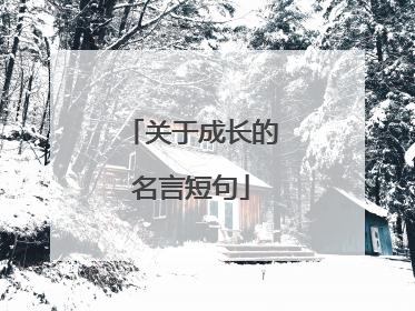 关于成长的名言短句