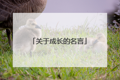 关于成长的名言