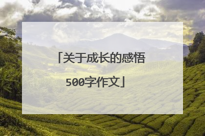 关于成长的感悟500字作文