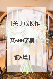 关于成长作文600字集锦5篇