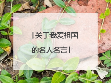 关于我爱祖国的名人名言