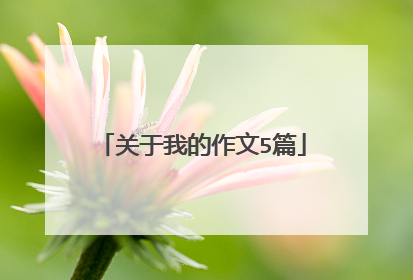 关于我的作文5篇