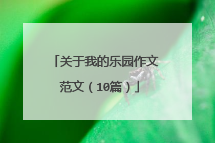 关于我的乐园作文范文(10篇)