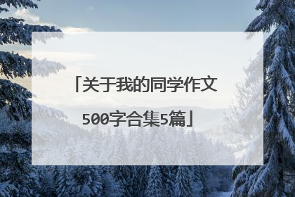 关于我的同学作文500字合集5篇