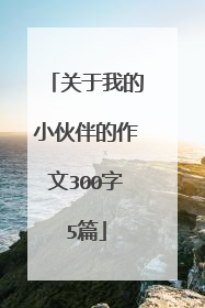 关于我的小伙伴的作文300字5篇