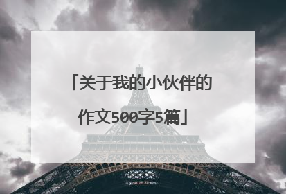 关于我的小伙伴的作文500字5篇