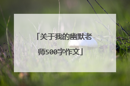关于我的幽默老师500字作文