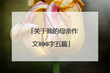 关于我的母亲作文800字五篇