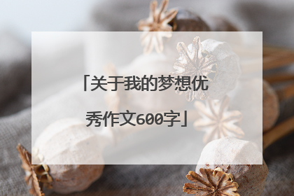 关于我的梦想优秀作文600字