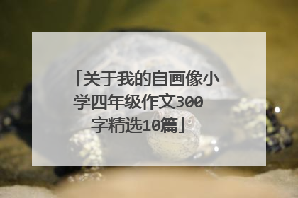 关于我的自画像小学四年级作文300字精选10篇