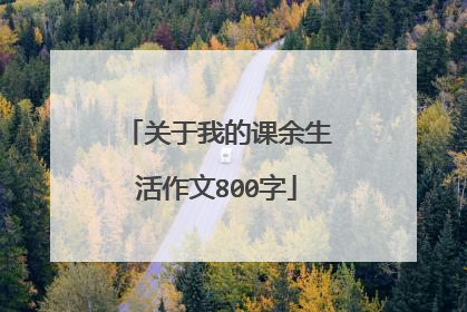 关于我的课余生活作文800字