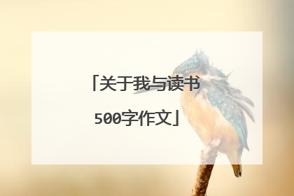关于我与读书500字作文