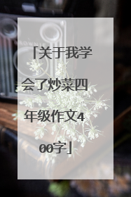 关于我学会了炒菜四年级作文400字