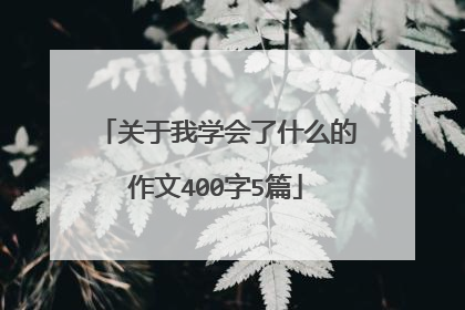 关于我学会了什么的作文400字5篇
