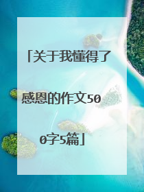 关于我懂得了感恩的作文500字5篇