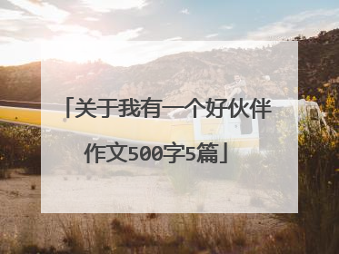 关于我有一个好伙伴作文500字5篇