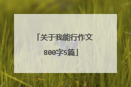 关于我能行作文800字5篇