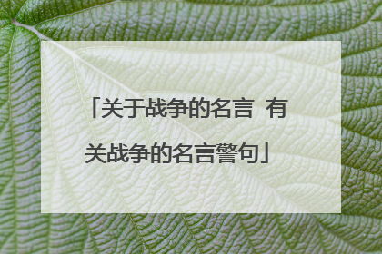 关于战争的名言 有关战争的名言警句