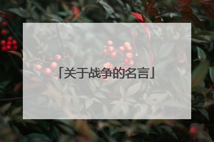 关于战争的名言