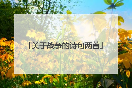 关于战争的诗句两首