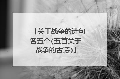 关于战争的诗句各五个(五首关于战争的古诗)