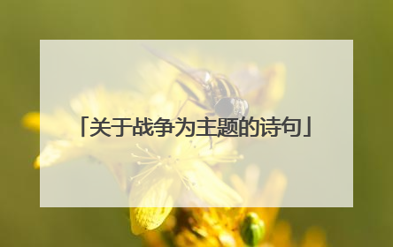 关于战争为主题的诗句