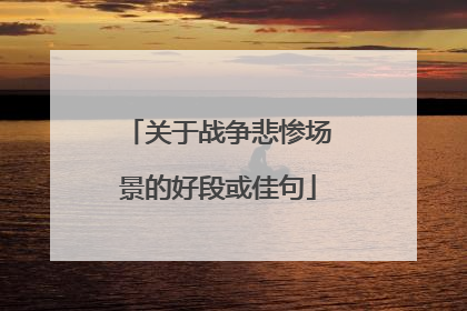 关于战争悲惨场景的好段或佳句