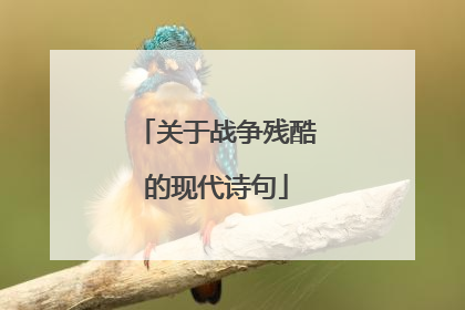 关于战争残酷的现代诗句