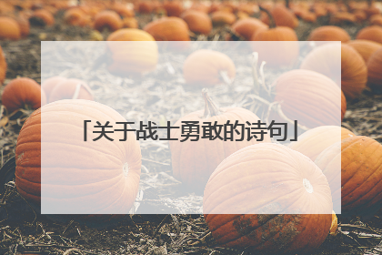 关于战士勇敢的诗句