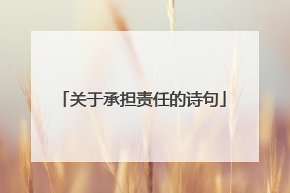关于承担责任的诗句