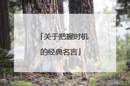 关于把握时机的经典名言