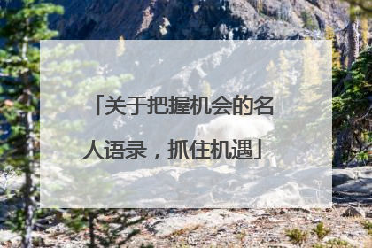 关于把握机会的名人语录,抓住机遇