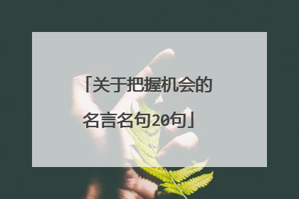 关于把握机会的名言名句20句