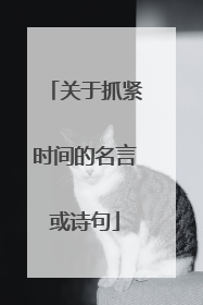 关于抓紧时间的名言或诗句