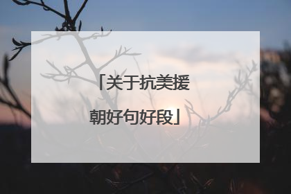 关于抗美援朝好句好段