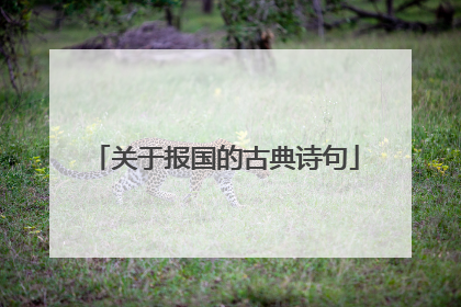 关于报国的古典诗句