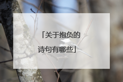 关于抱负的诗句有哪些