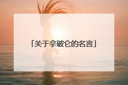 关于拿破仑的名言